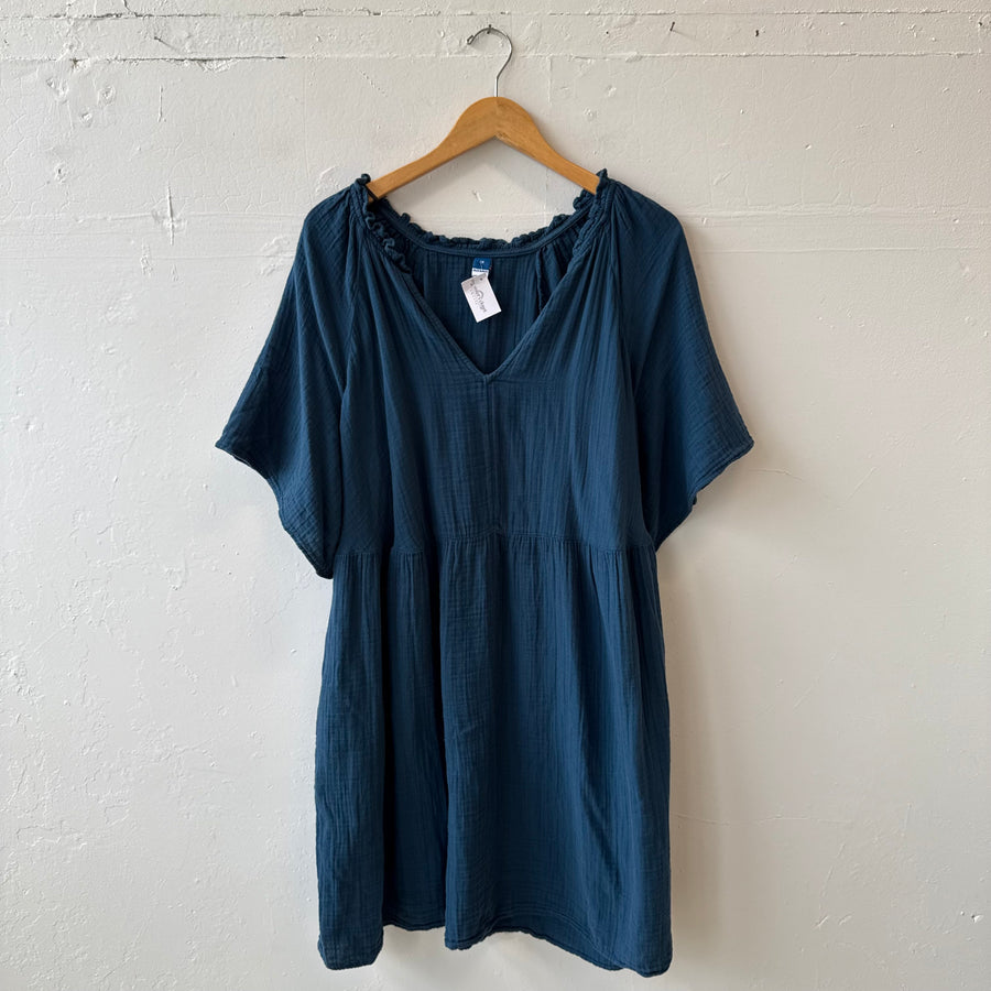 SIZE 2X | Blue Dress