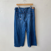 Size 14 | AE Short Jeans
