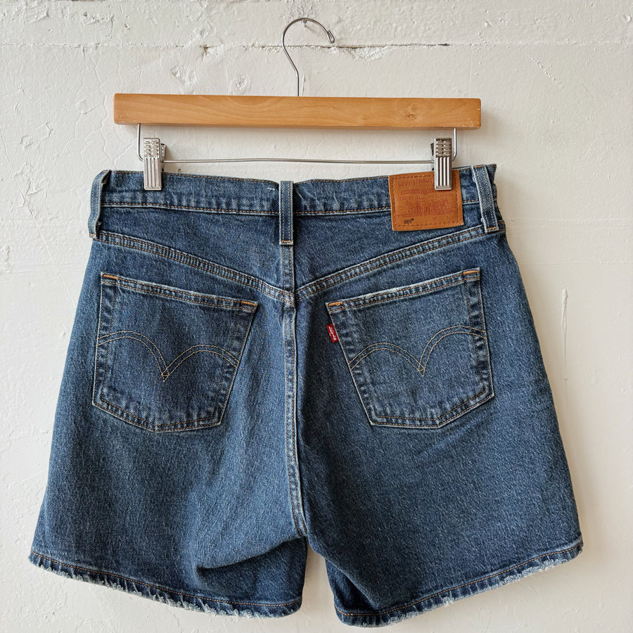 SIZE 28 | Levi Shorts