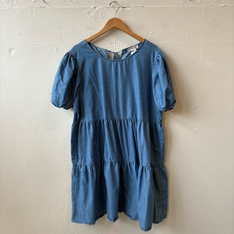 SIZE 1X | Light Denim Dress