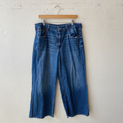 Size 14 | AE Short Jeans