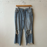 SIZE 27 | Free People Distressed Jeans