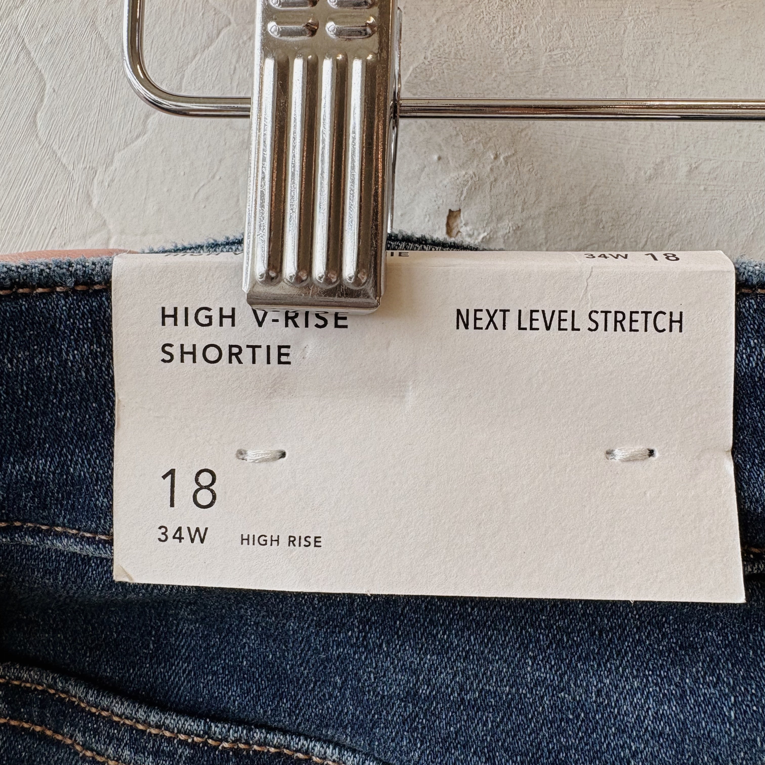 SIZE 18 | AE Shorts