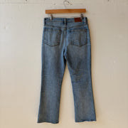 SIZE 27 | Madewell Jeans