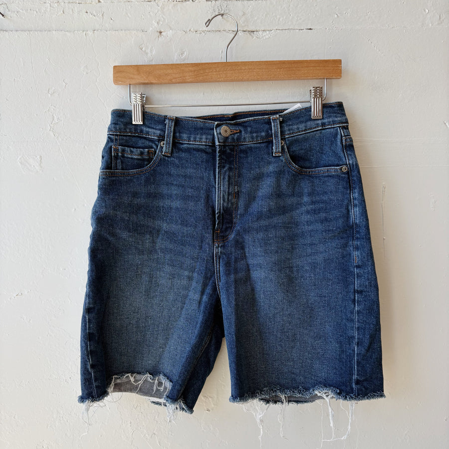 SIZE 8 | Dark Wash Shorts