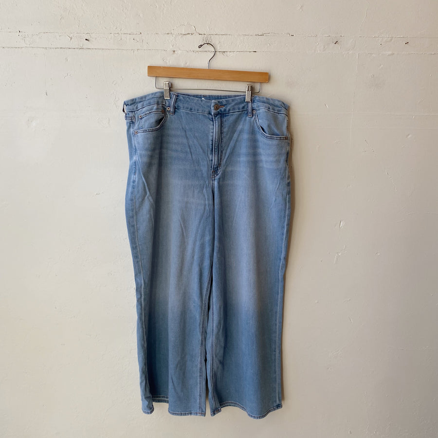 SIZE 20 | AE Wide Leg Jeans